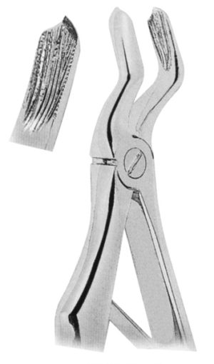 Extracting-Forceps-For-Children-Klein-Pattern-fig-3